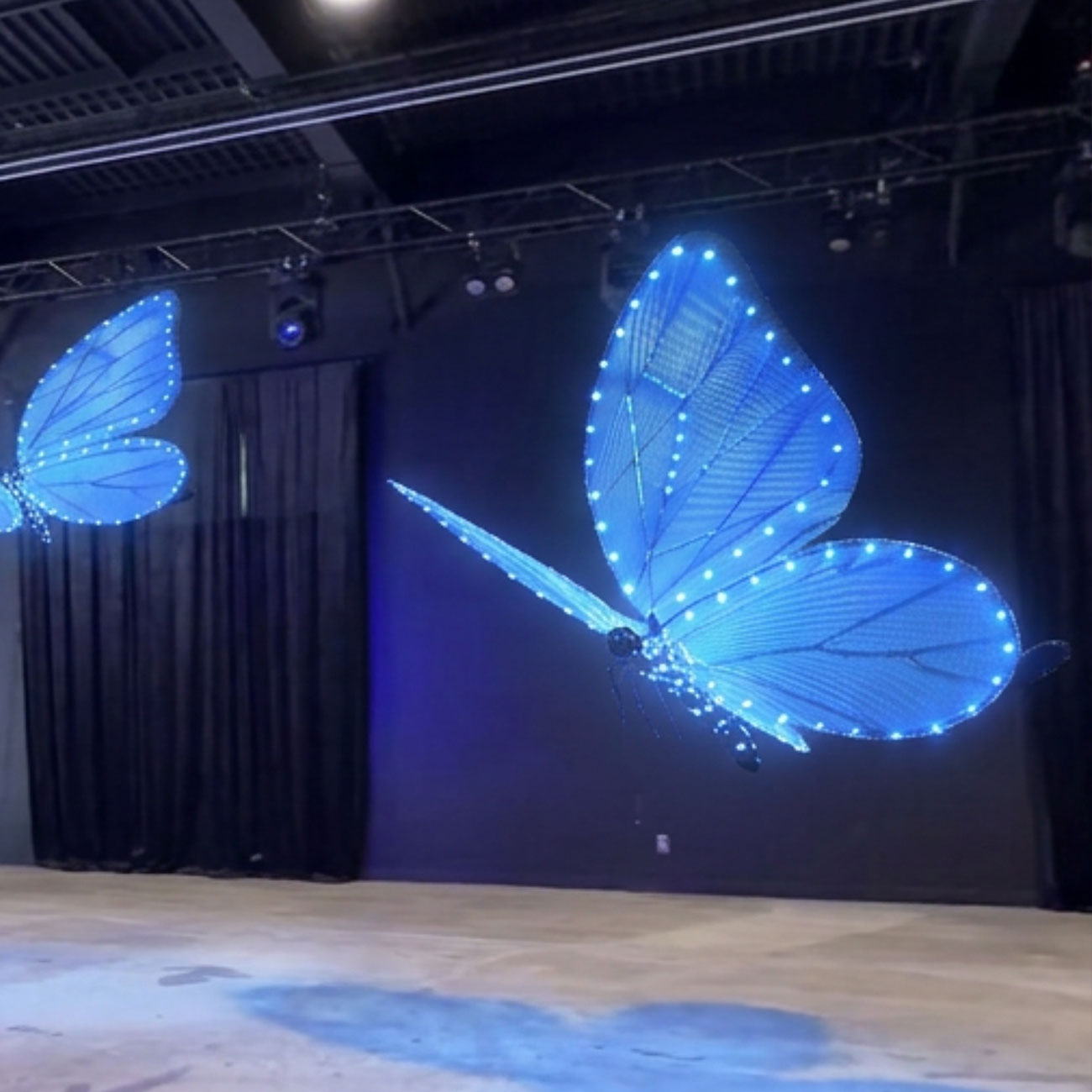 Drone Butterflies