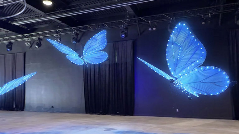 Drone Butterflies