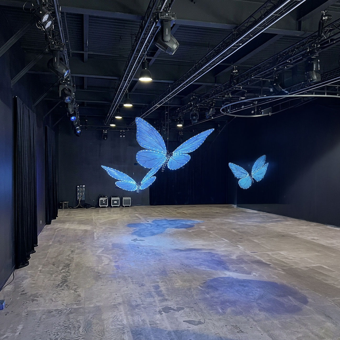 Drone Butterflies