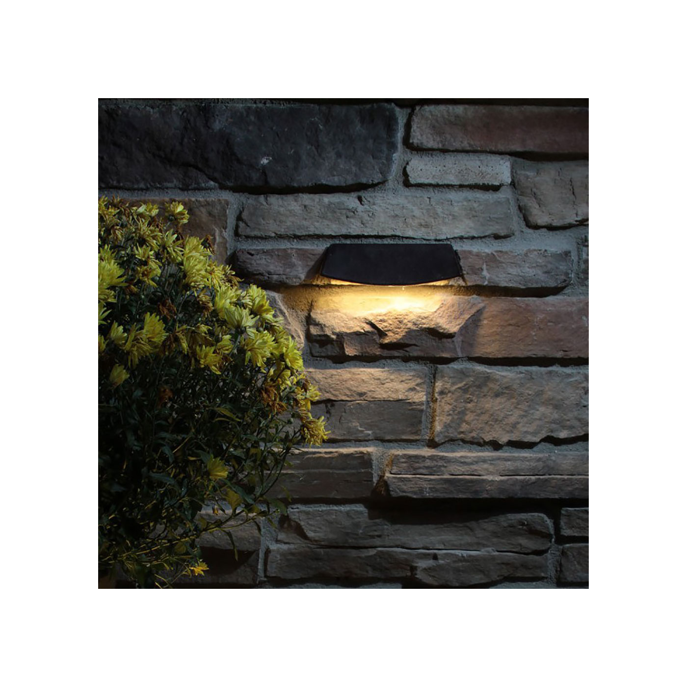 Radiance Multi-Function Light